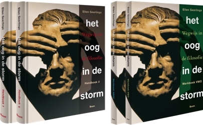 Het oog in de storm