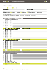 SCID-5-P: Scoreformulieren